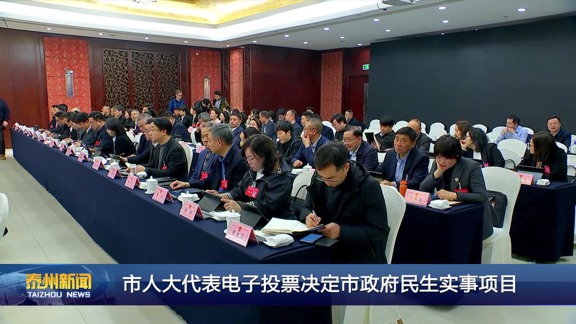市人大代表电子投票决定市政府民生实事项目